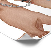 Poster Boutons (Coin)