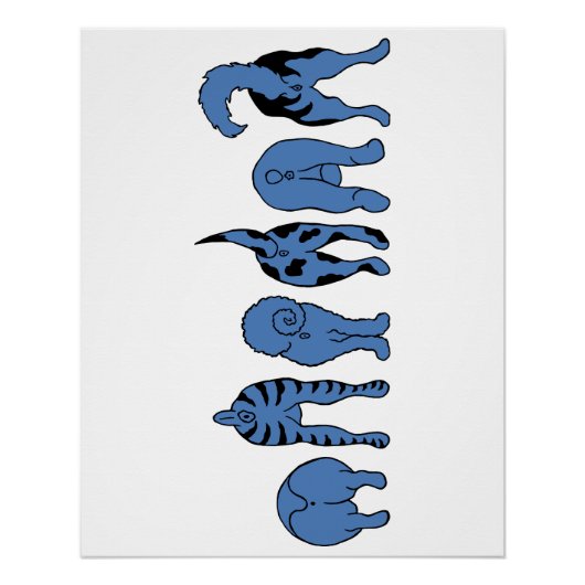 Poster Boutons de chien bleu (Devant)