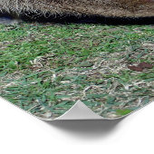 Poster Boutons du Capybara-2 (Coin)