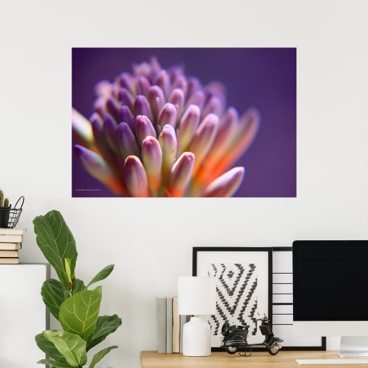 Poster Boutons Succulents Imprimer (Bureau à domicile)