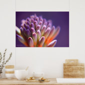 Poster Boutons Succulents Imprimer (Cuisine)