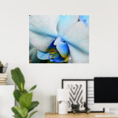 Poster Boutons sur l'orchidée bleue (Bureau à domicile)