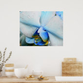 Poster Boutons sur l'orchidée bleue (Cuisine)