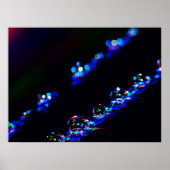 Poster Bouts Disco (Devant)