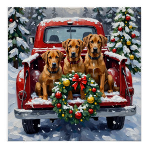 Poster Bouvier des Flandres camion rouge de Noël vacances