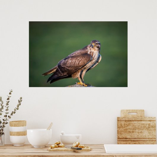 Poster Bouzzard (Cuisine)