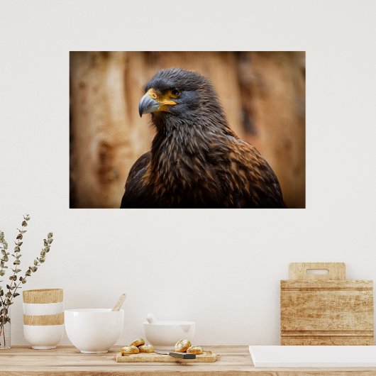 Poster Bouzzard (Cuisine)