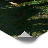 Poster Bovins laitiers et Grange rouge Imprimer (Coin)