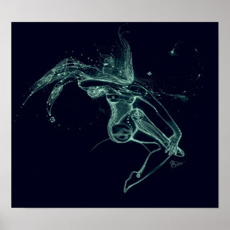 Poster Bow et Flèche