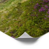 Poster Bow Fiddle Rock, Portknockie, Scotland (Coin)