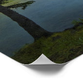 Poster Bow Lake Morning (Coin)
