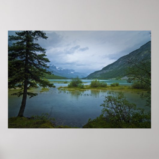 Poster Bow Lake Morning (Devant)