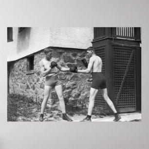 Poster Boxe de jardin : 1912