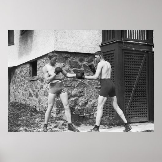 Poster Boxe de jardin : 1912 (Devant)