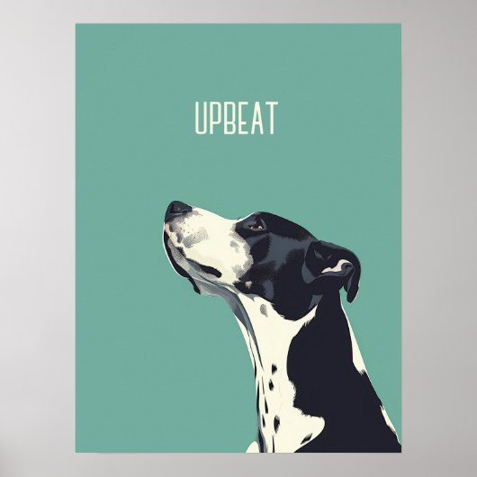 Poster Boxe noire et blanche (Devant)