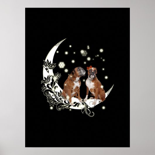 Poster Boxer (Devant)