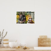 Poster Boxer Baxter Bella 8 (Cuisine)