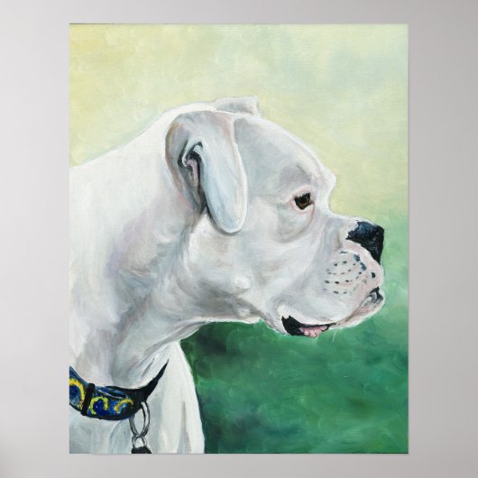 Poster Boxer blanc Chien Art Imprimer (Devant)