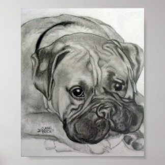 Poster "Boxer Love" - Oeuvre originale de Carol Zeock