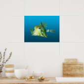 Poster Boxfish en gros plan ! Fond bleu dégradé | (Cuisine)