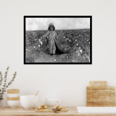 Poster Boy Picking Cotton à Comanche, OK 1916 (Cuisine)