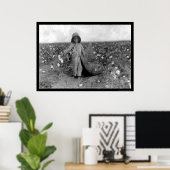 Poster Boy Picking Cotton à Comanche, OK 1916 (Bureau à domicile)