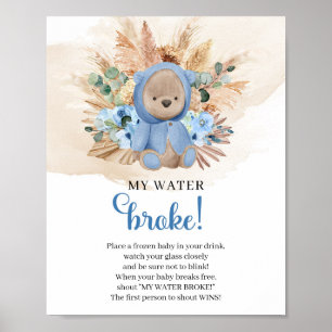 Poster Boy Teddy bear tropical My Water Broke