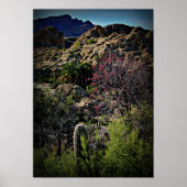 Poster Boyce Thompson Arboretum (Devant)