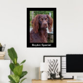 Poster Boykin Spaniel (Bureau à domicile)