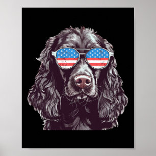 Poster Boykin Spaniel Usa Drapeau Américain Chien Lunette