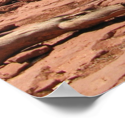 Poster Boynton Canyon Sedona (Coin)