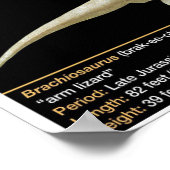 Poster Brachiosaurus - Biologie Jurassique (Coin)