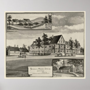 Poster Bradford Mineral Springs