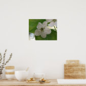 Poster Bradford Pear Bloom (Cuisine)