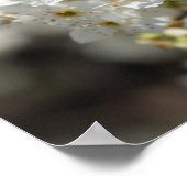 Poster Bradford Select Focus (Coin)