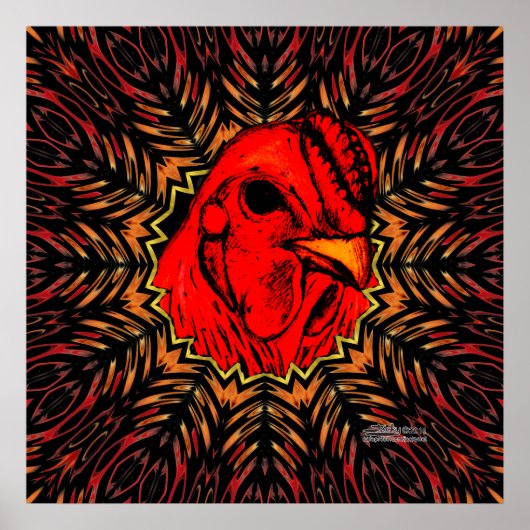 Poster Brahma (Devant)