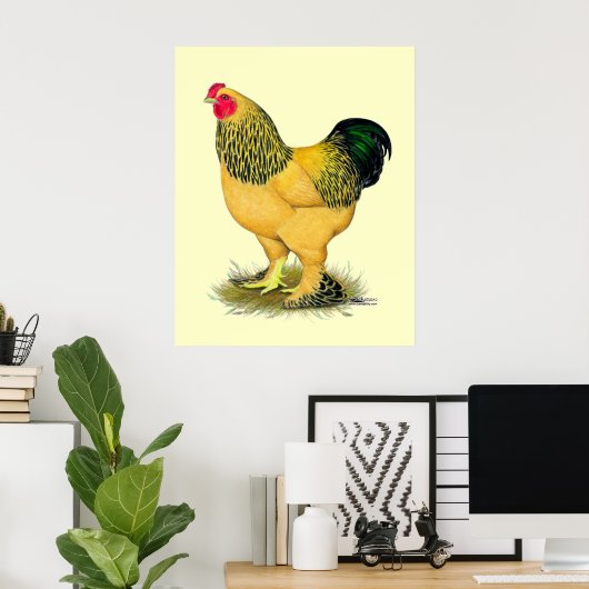 Poster Brahma : Rooster Buff (Bureau à domicile)