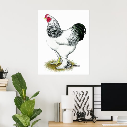 Poster Brahma : Rooster léger (Bureau à domicile)