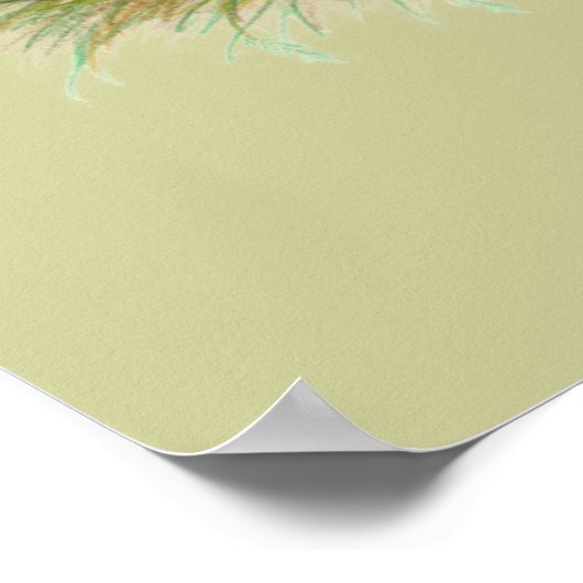 Poster Brahmas Three Roosters (Coin)