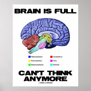 Poster Brain Is