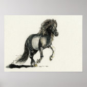 Poster Brana (Devant)