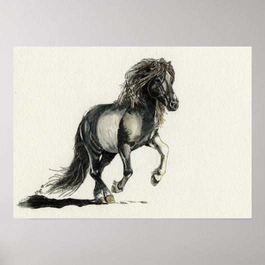 Poster Brana (Devant)