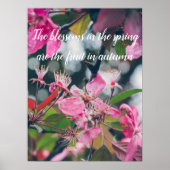 Poster Branche d'arbre de prune avec fleurs roses (Devant)