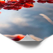 Poster Branche de baies rouges vibrantes (Coin)