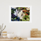 Poster Branche de corail blanc (Cuisine)