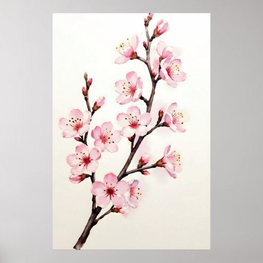 Poster Branche de fleurs de cerisier aquarelle (Devant)