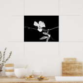 Poster Branche de Magnolia (Cuisine)