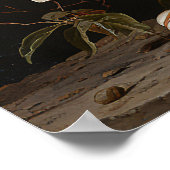 Poster Branche de magnolia blanche avec fleur (Coin)