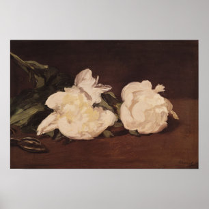 Poster Branche de Manet des pivoines et des sécateurs