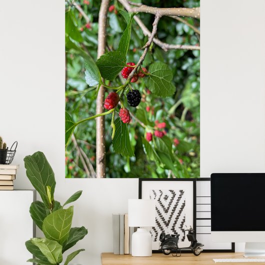 Poster Branche de Mullberry (Bureau à domicile)